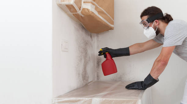 Professional Basement Mold Remediation technician working in Thorofare, NJ