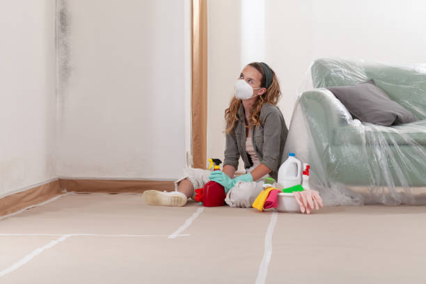 Reliable Basement Mold Remediation contractor in Thorofare, NJ by 24 Hour Mold Removal